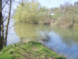 La Cisse à sa confluence avec la Loire sur la commune de Vouvray