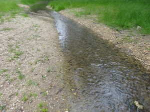 Ruisseau du Mesland après travaux