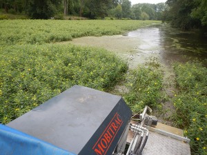 2014 - arrachage de la Jussie par bateau amphibie