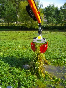 2012/2013 - arrachage de la Jussie par brge flottante et grappin